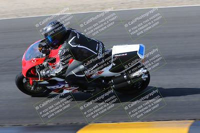 media/Feb-04-2023-SoCal Trackdays (Sat) [[8a776bf2c3]]/Turn 6 Inside (1025am)/